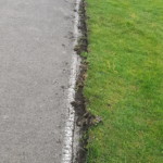 Hartnäckiger Bewuchs