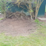 Hier ist es jetzt wieder ordentlich